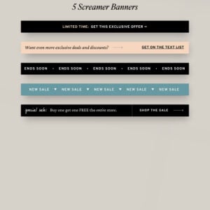 Amaretto Sour Email Graphics (Canva) thumbnail 10