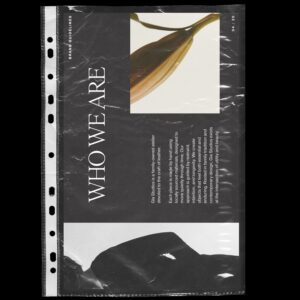 Brand Guidelines Canva Template thumbnail 6