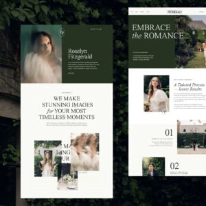 Fitzgerald thumbnail 1